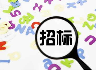 采購項目招標代理典型業績