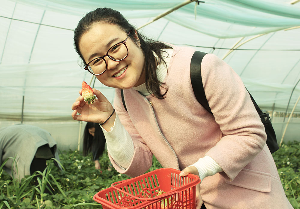 億誠建設三八婦女節摘草莓